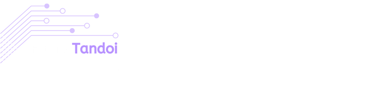 Fabio Tandoi - Software Solutions